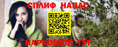 дживик Пенза