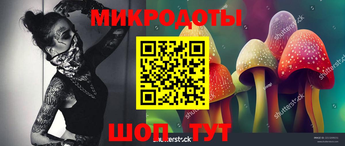 Псилоцибиновые грибы Magic Shrooms  Псилоцибиновые грибы Psilocybe  даркнет сайт  Вход с VPN  Темрюк 